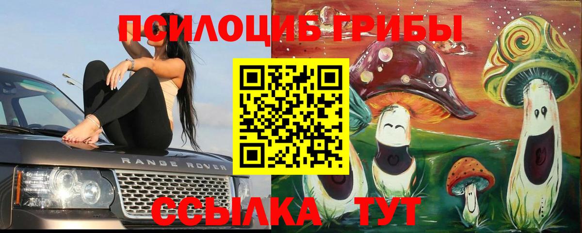 Галлюциногенные грибы мухоморы Кузнецк